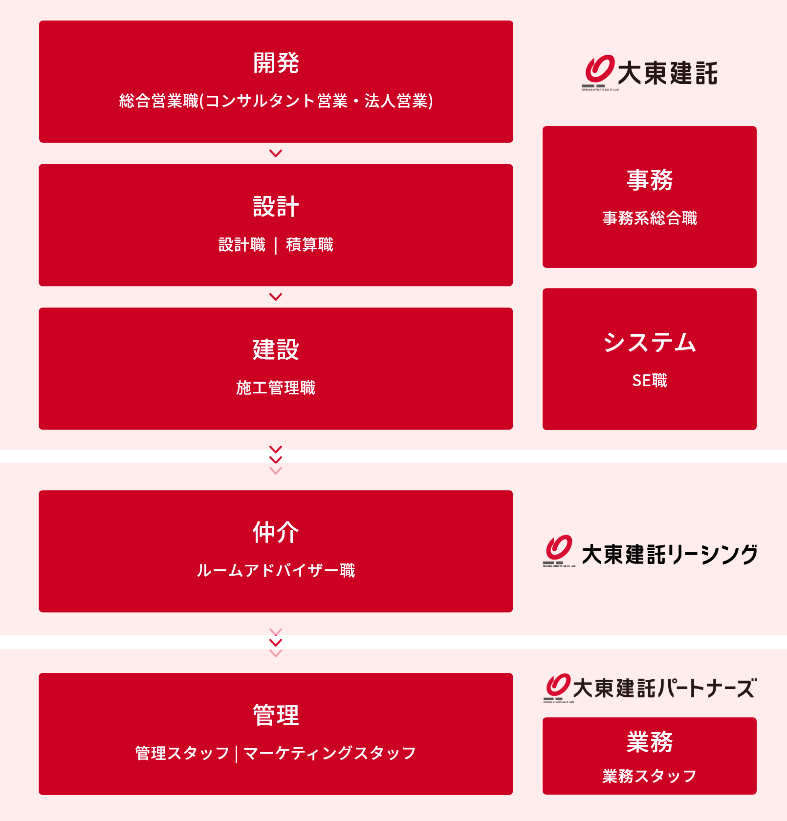 [大東建託]開発：総合営業職（コンサルタント営業職）・法人営業職）→設計：設計職｜積算職→建設：施工管理職 事務：事務系総合職 システム：SE職→仲介：ルームアドバイザー職→管理：管理スタッフ｜マーケティングスタッフ 業務：業務スタッフ